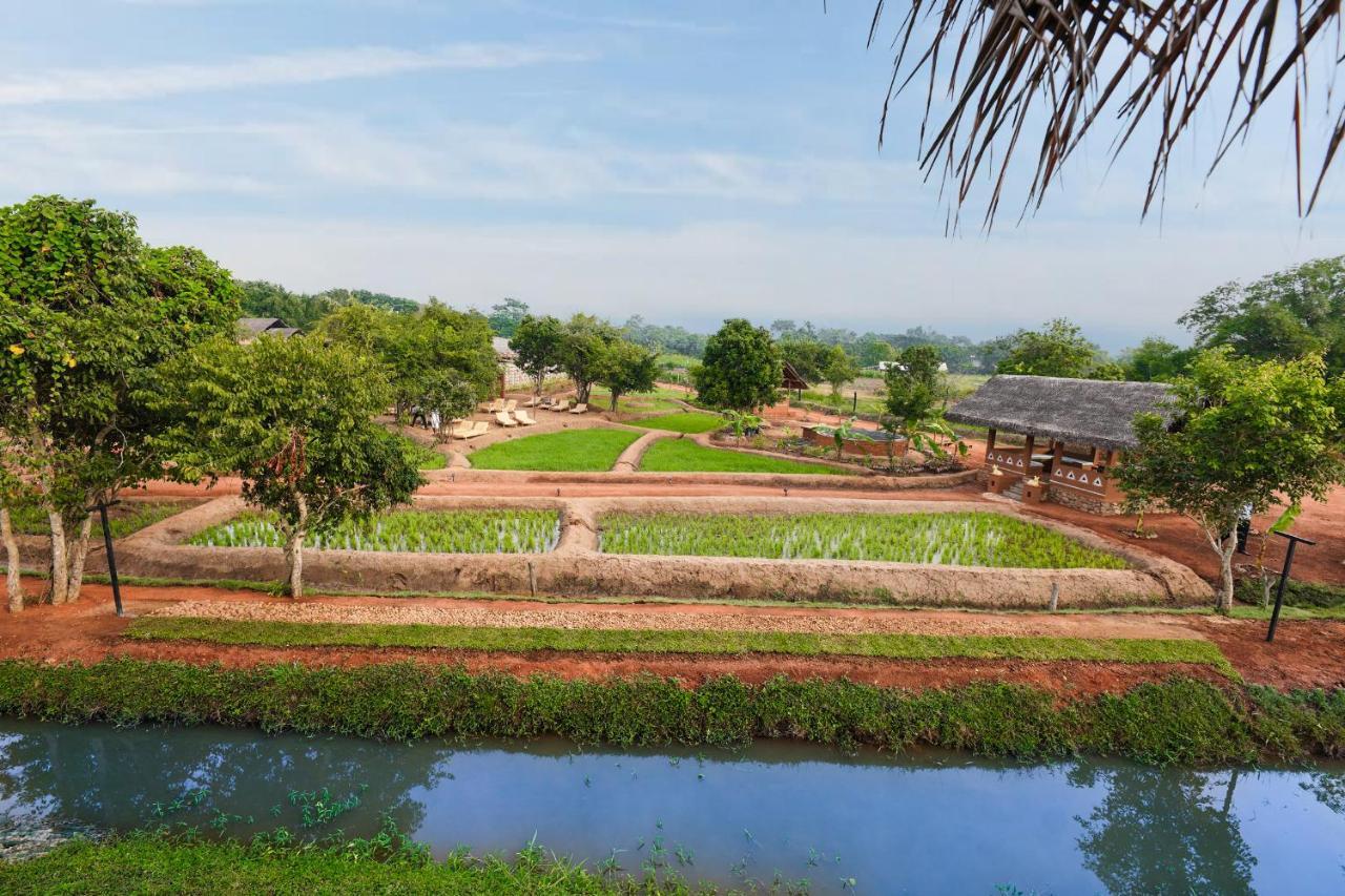 Готель Ayurvie Sigiriya - Ayurvedic Retreat By Thema Collection Екстер'єр фото